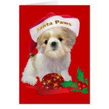 Shih Tzu doll xmasChristmas Cards