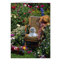 Shih Tzu Garden Card