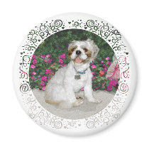 Shih Tzu in a Garden Setting Refrigerator Magnets