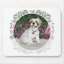 Shih Tzu in a Garden Setting Mousepad