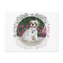 Shih Tzu in a Garden Setting Postcard