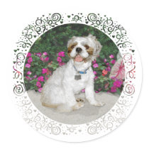 Shih Tzu in a Garden Setting Round Stickers