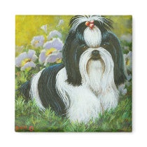 Shih Tzu in the Garden Magnet