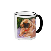 Shih Tzu Mug