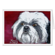 Shih Tzu Notecard