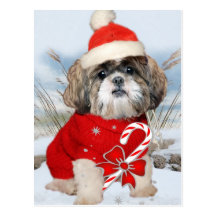 Shih Tzu Santa Paws gifts Post Cards