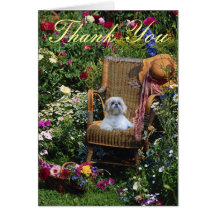 Shih Tzu Thank You Card Garden
