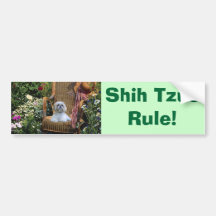 Shih Tzus Rule Bumper Sticker