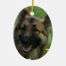 Shiloh Shepherd Ornament