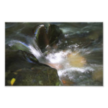 Shimmering Creek Photo