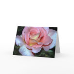 Shimmering Pink Rose Note Card