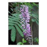Shining Butterfly Bush cards