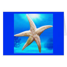 Shining Star Greeting Cards