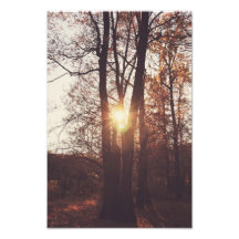 Shining sun photo art