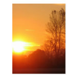 Shining Sunset Post Card