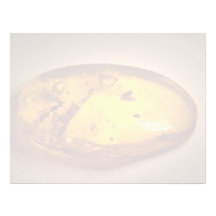 Shiny Amber Gemstone Letterhead Template