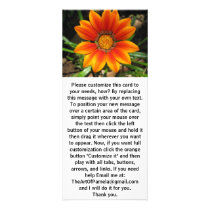 Shiny Fresh Sunflower rack cards