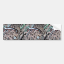 Shiny Red And Silver Centipede Walking On The Soil Bumper Sticker