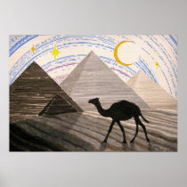 Ship Of The Desert Poster