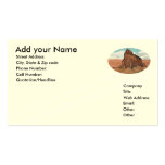 Shiprock ~ Tsé Bit' A'í ~  Business Card