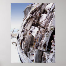 Shipwreck Picture on Canvas Print