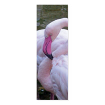 Shocking Pink Bookmark