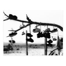 Shoe Store Postcard