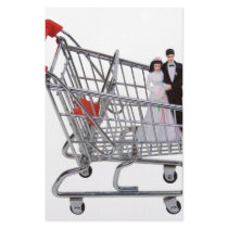 ShoppingNewlyWeds040909 Stationery
