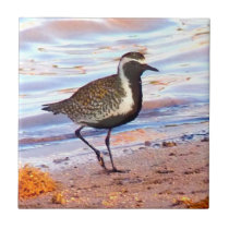 Shore bird in Hawaii tiles