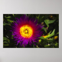 ~Shore Flower~ Posters