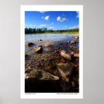 Shore Poster