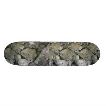 Shore rocks, jagged, with small green shoot skate board deck