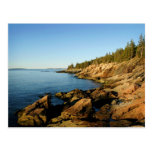 Shoreline Acadia Postcards
