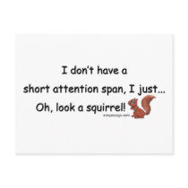 Short Attention Span Squirrel