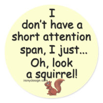 Short Attention Span Squirrel