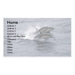 Short-beaked common dolphin business card