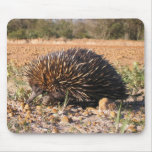 Short-beaked Echidna - Tachyglossus aculeatus Mouse Mats