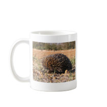 Short-beaked Echidna - Tachyglossus aculeatus Mug