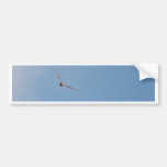 Short-eared Owl Bumper Sticker