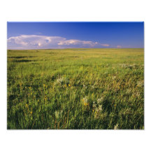 Short Grass Prairie in remote northeastern Photographic Print