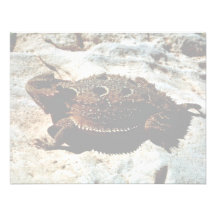 Short-horned Lizard Custom Announcements