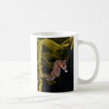 Short-snouted Seahorse Hippocampus hippocampus Mug