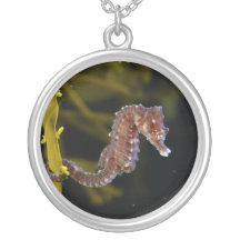 Short-snouted Seahorse Hippocampus hippocampus Personalized Necklace