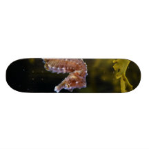 Short-snouted Seahorse Hippocampus hippocampus Skateboard Deck