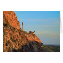Shortly After Sunrise Card