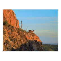 Shortly After Sunrise Postcard