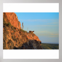 Shortly After Sunrise Poster/Print
