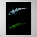 Shortnose Greeneye Chlorophthalmus Agassizi posters