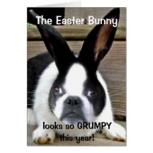 Shorty's 2011 Easter Card
