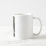 SHOUTE 16 TASSE